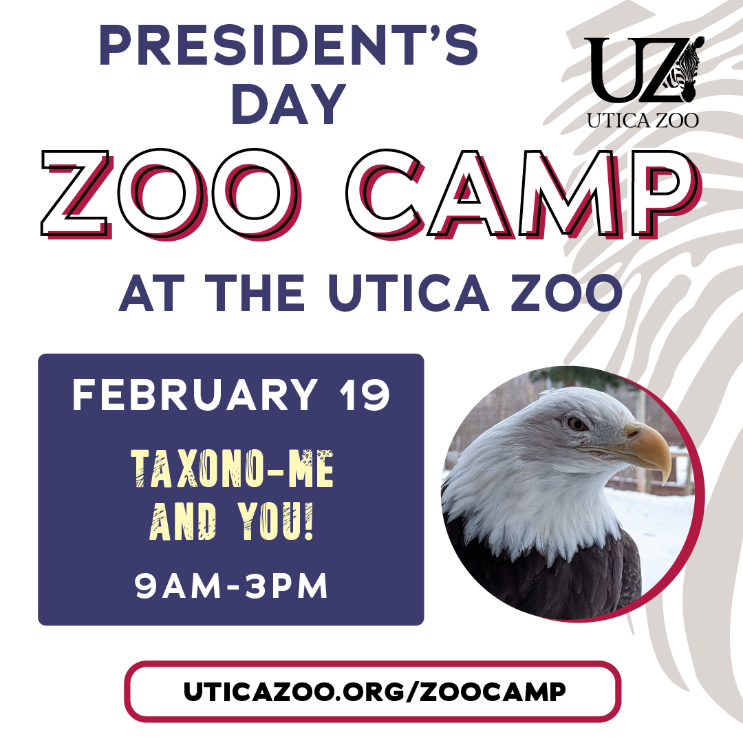 President’s Day Zoo Camp Graphic 2024 Utica Zoo